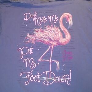 Sassy Frass Tees medium purple flamingo
